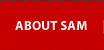 About Sam